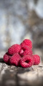 Raspberries Perrin Clarke Photography